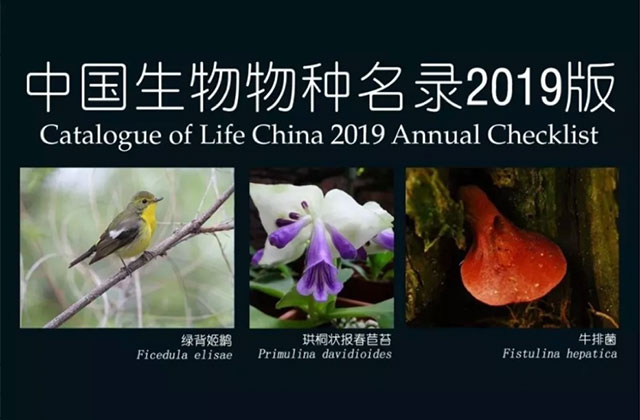 2019版《中国生物物种名录》正式发布